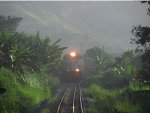 VLI 6021